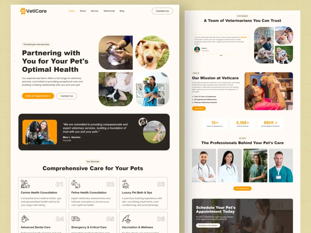 Raddito_website_ui_design (2)