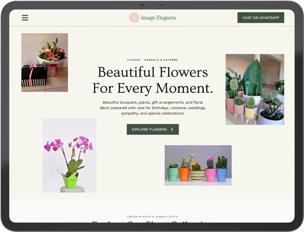 Image Elegenta , Client Website